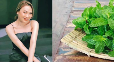 LÁ BẠC HÀ – BÍ QUYẾT LÀM ĐẸP CỦA CA SĨ MỸ TÂM