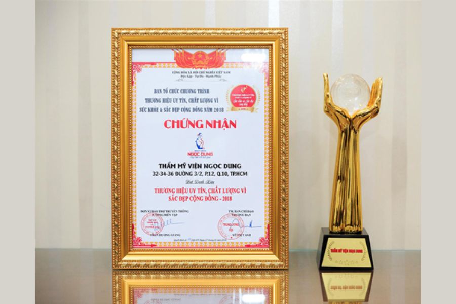 Danh hiệu mà Ngọc Dung đạt được